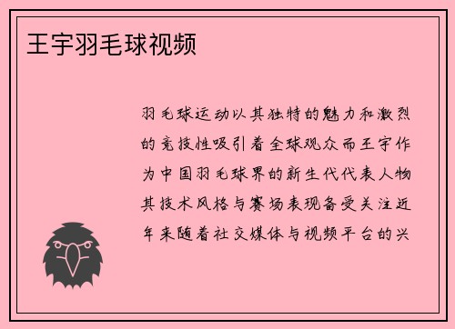 王宇羽毛球视频