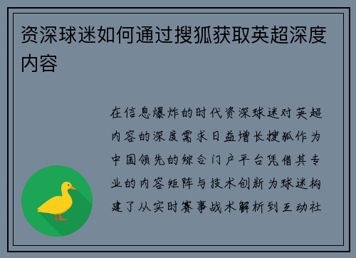 资深球迷如何通过搜狐获取英超深度内容